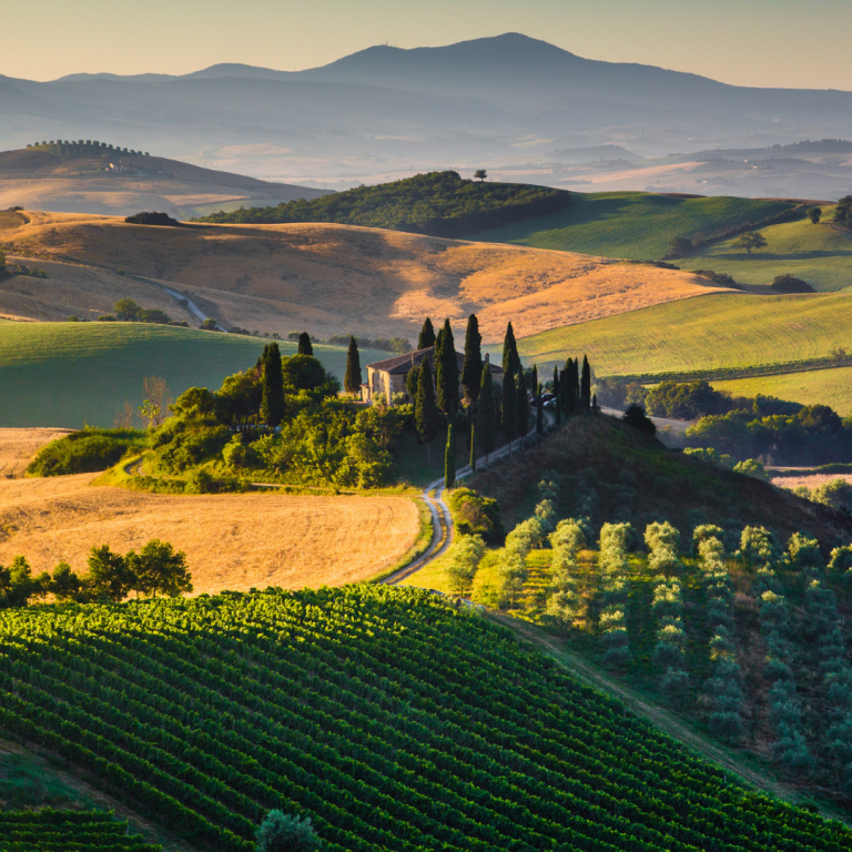 Wine Series 14: A Celebration of Wine
