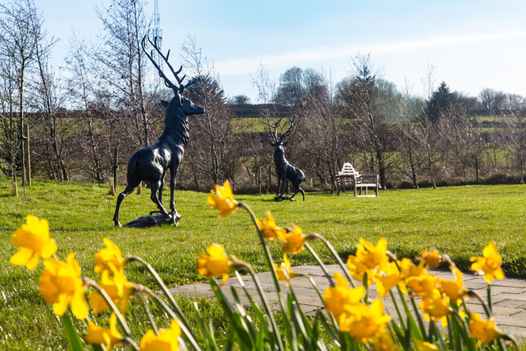 Peak Edge Press page