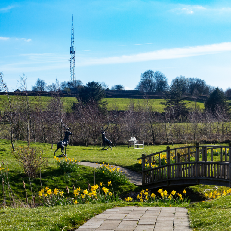 Mother’s Day at Peak Edge Hotel