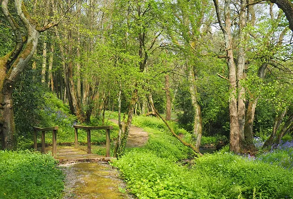 Best for: reservoir views, village stops and scenic Derbyshire riding Ashover & Ogston Reservoir Touring Trail